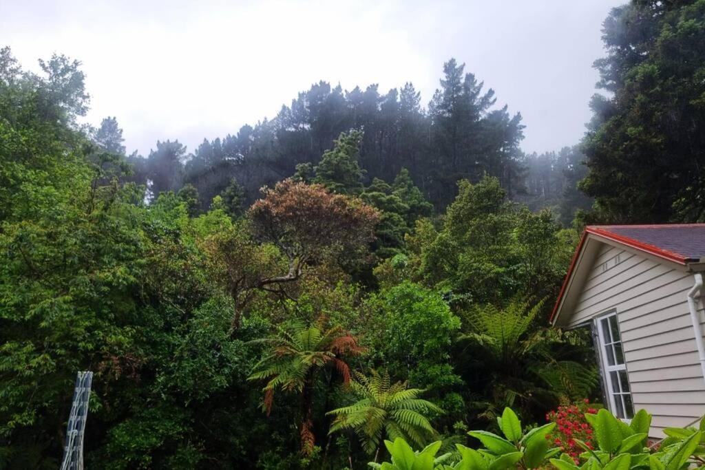 Pinehaven Cottage Upper Hutt Extérieur photo